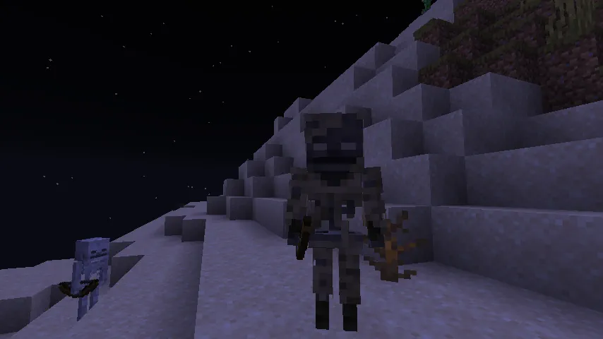 Minecraft Parched Skeleton at Night Screenshot