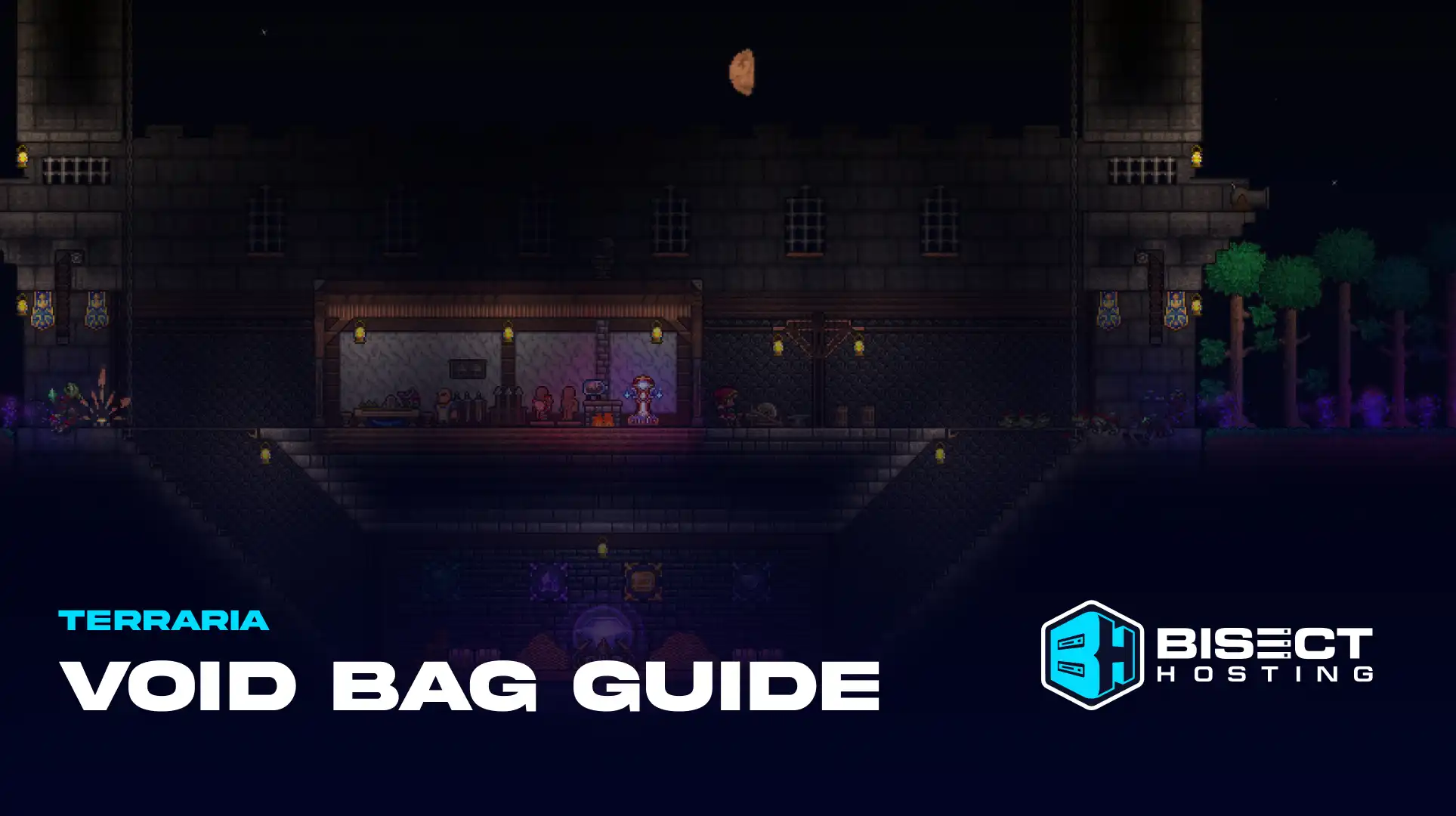 Terraria Void Bag Guide: How to Get, Void Vault, & more