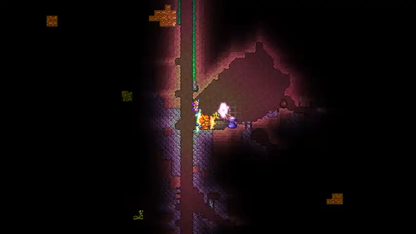 Terraria Void Bag Use