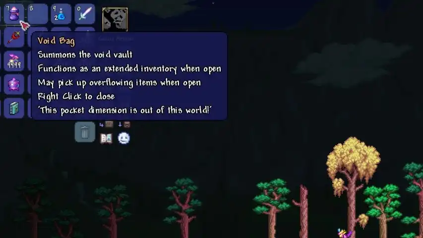 Terraria Void Bag