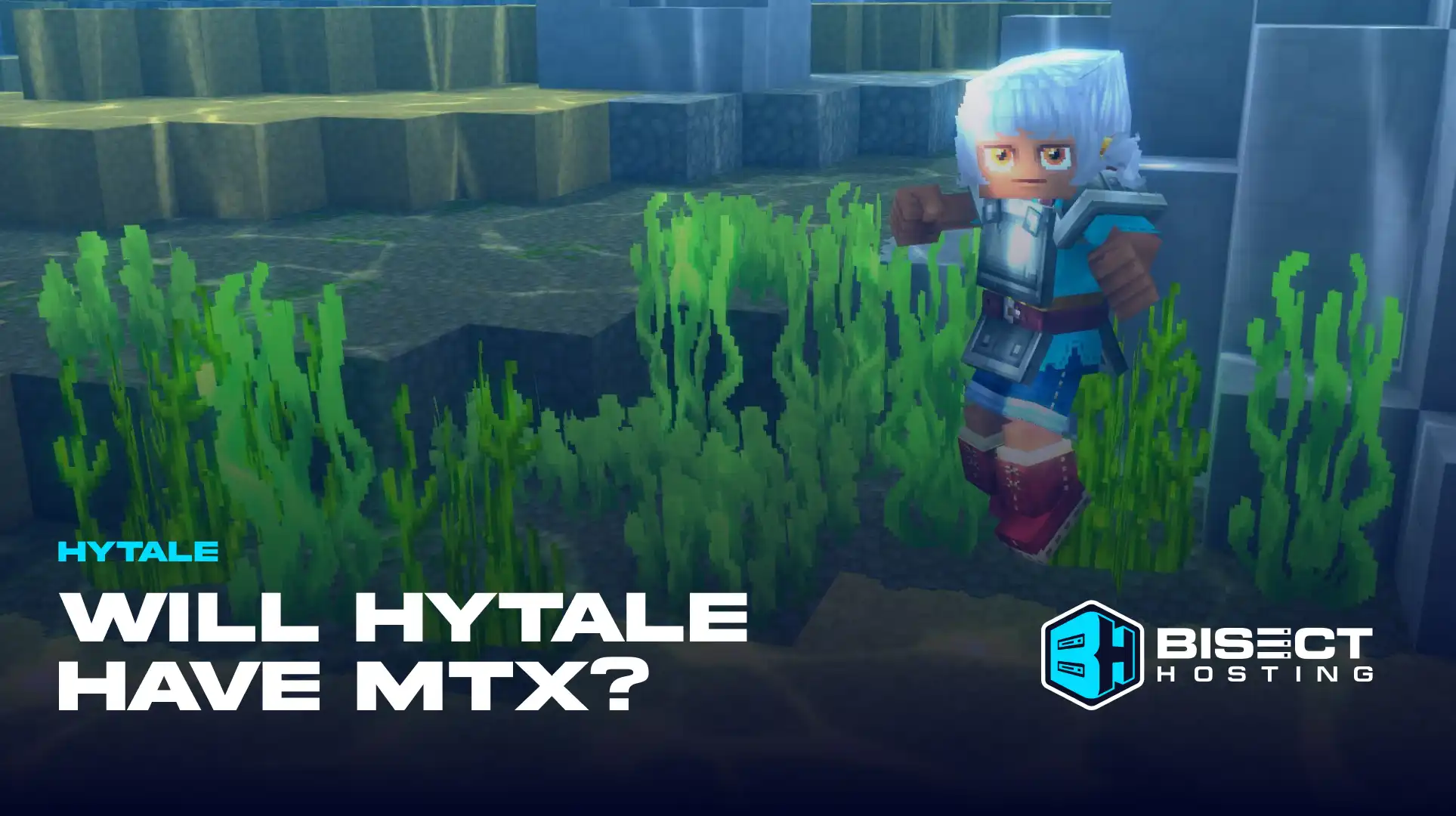 Will Hytale Have Microtransactions?