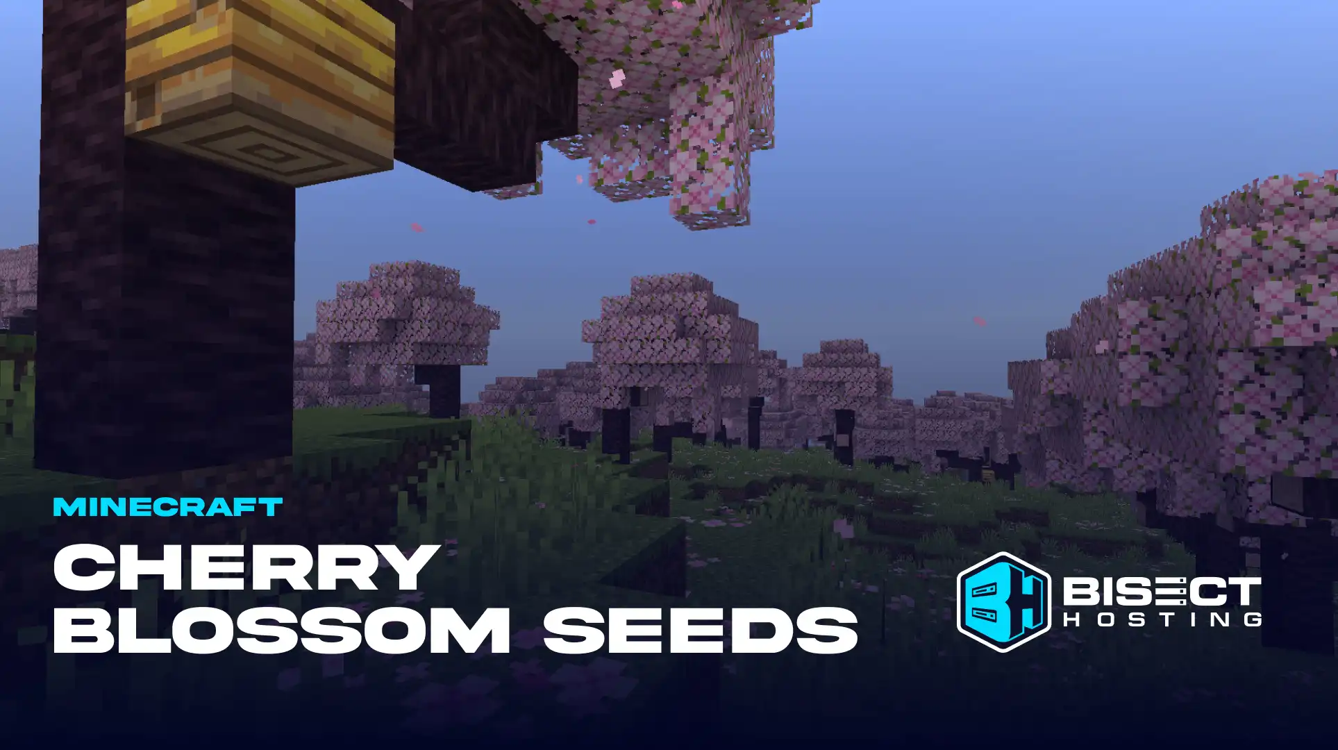 5 Minecraft Cherry Blossom Seeds & Location Coordinates