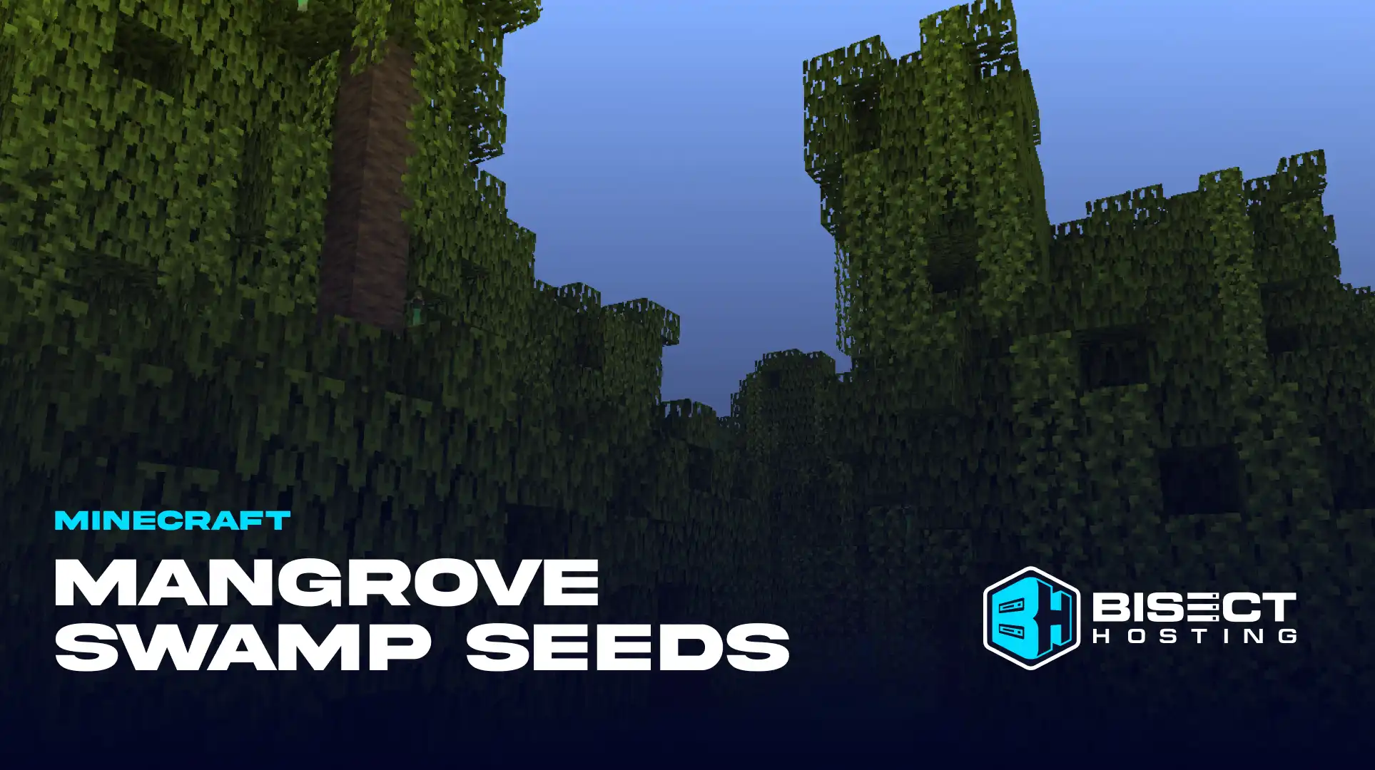 Minecraft Mangrove Swamp Seeds Guide: 5 Seeds & XYZ Coordinates