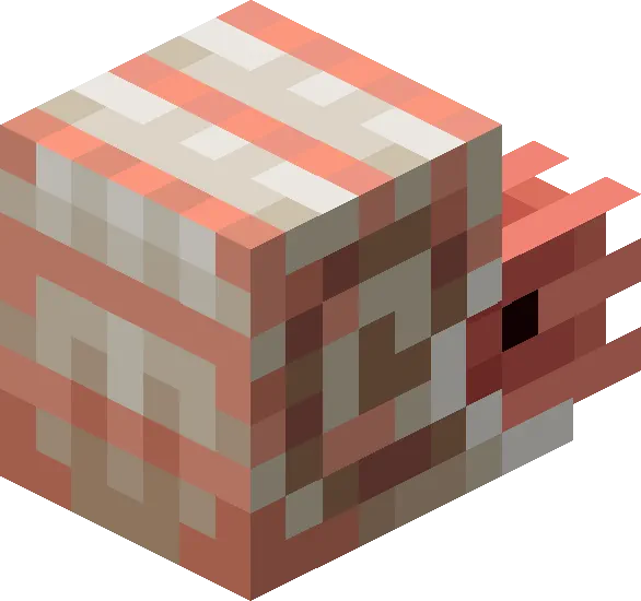 Minecraft Baby Nautilus