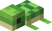 Minecraft Baby Turtle