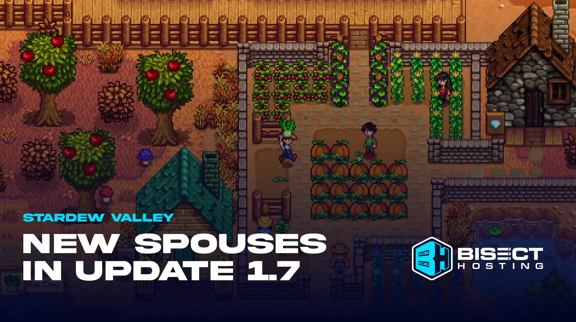 Stardew Valley 1.7 Update: Who Should Be The Next New Spouses?