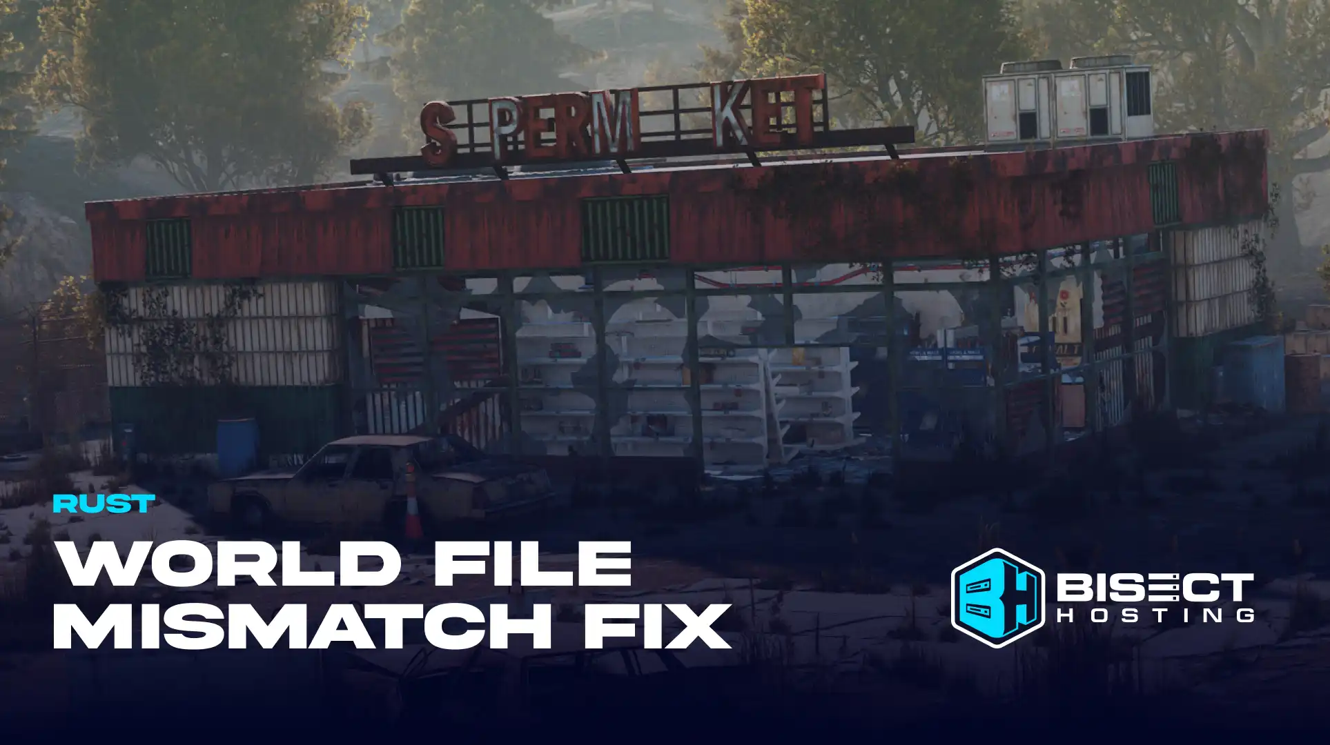Rust: How to Fix World File Mismatch Error