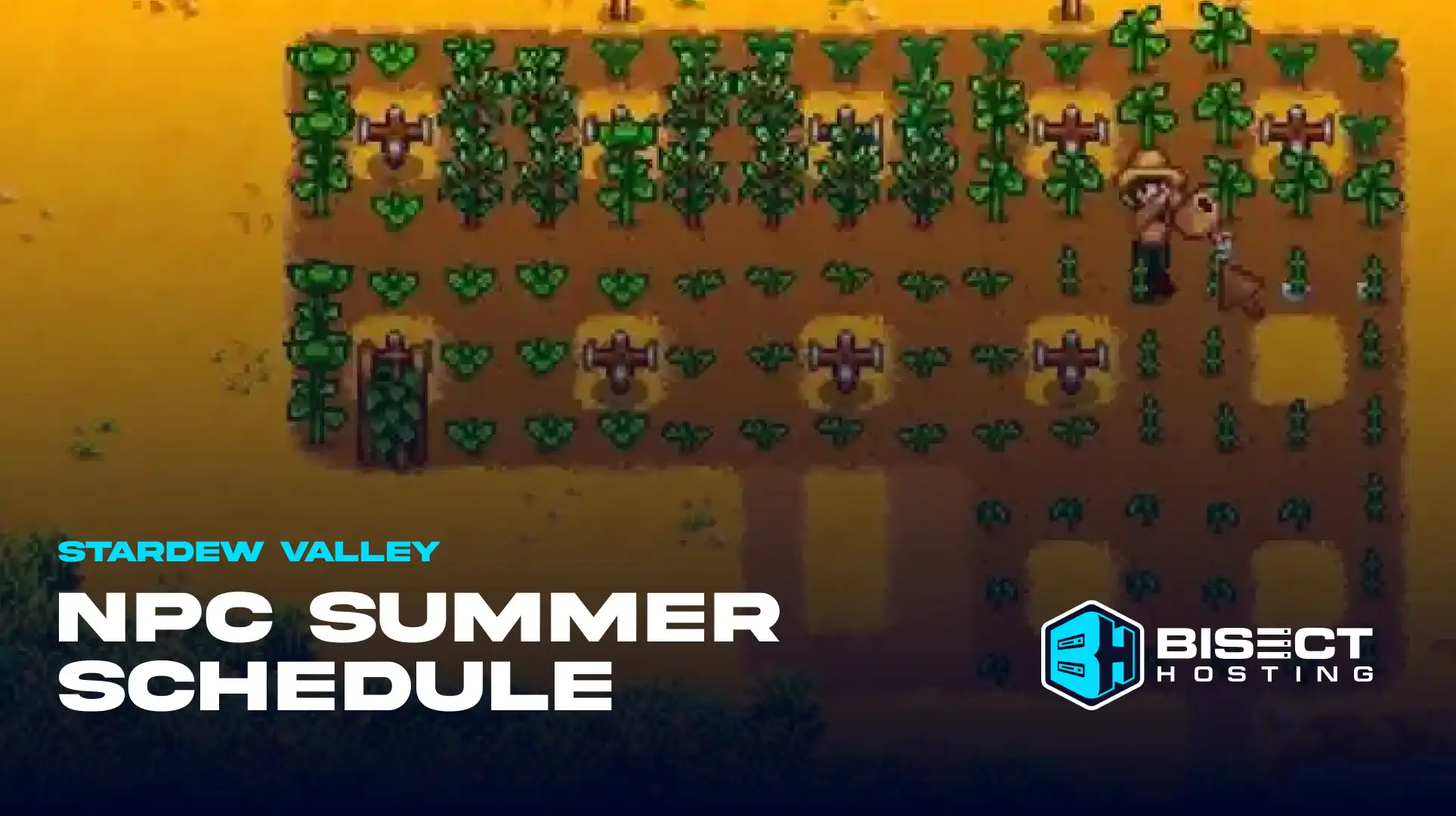 Stardew Valley Summer Schedule Guide: NPC Locations and Times for Marriage Candidates