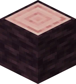 Minecraft Cherry Log Block