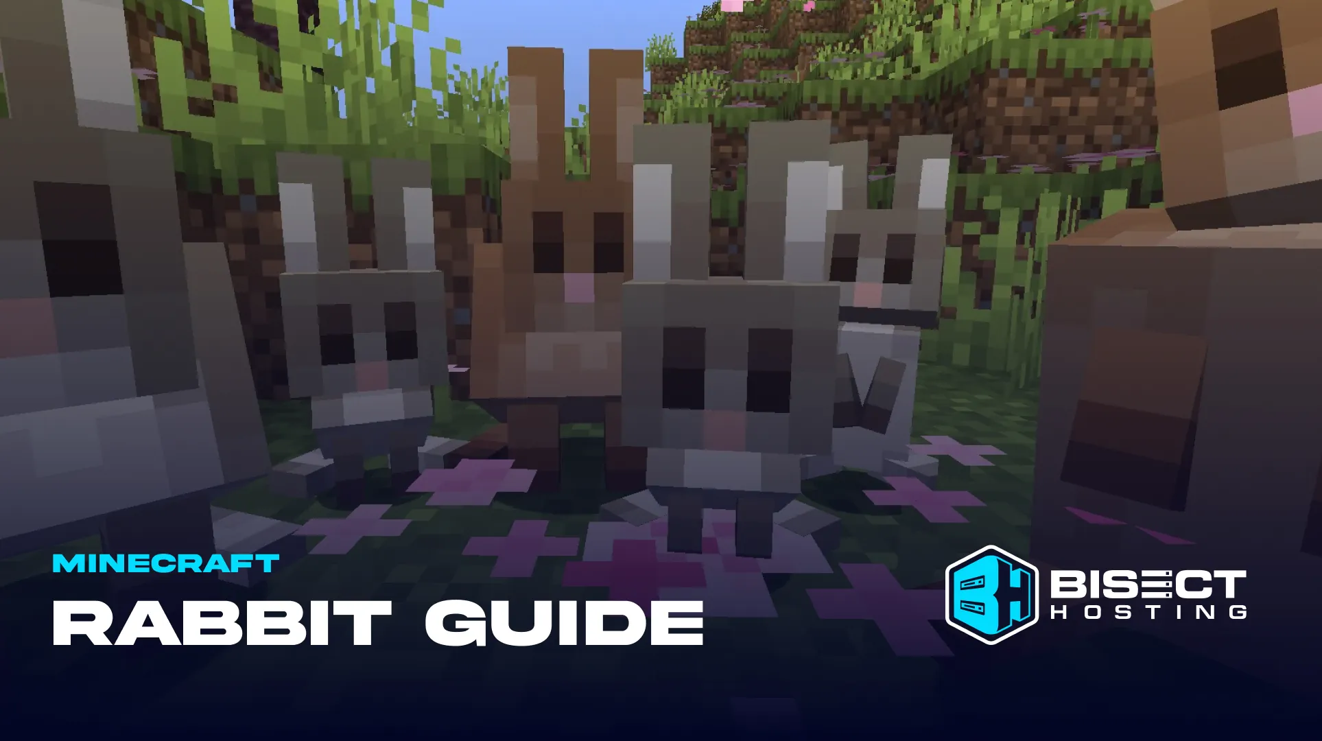 Minecraft Rabbit Guide: Variants, Breeding, & More