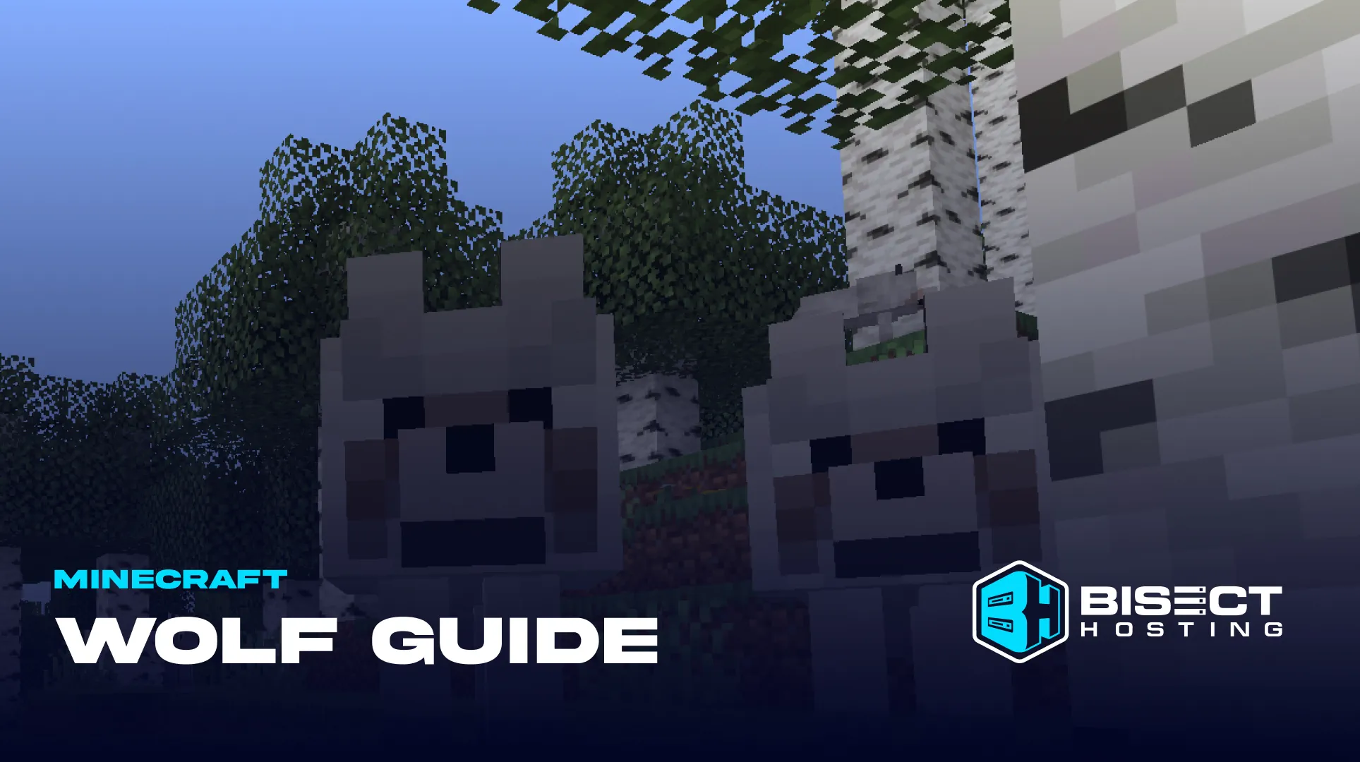 Minecraft Wolf Guide: All Types, Stats, Behavior, & Locations