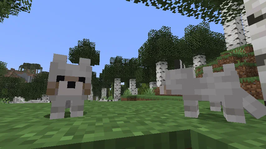 Puppies In Birch Forest Screenshot