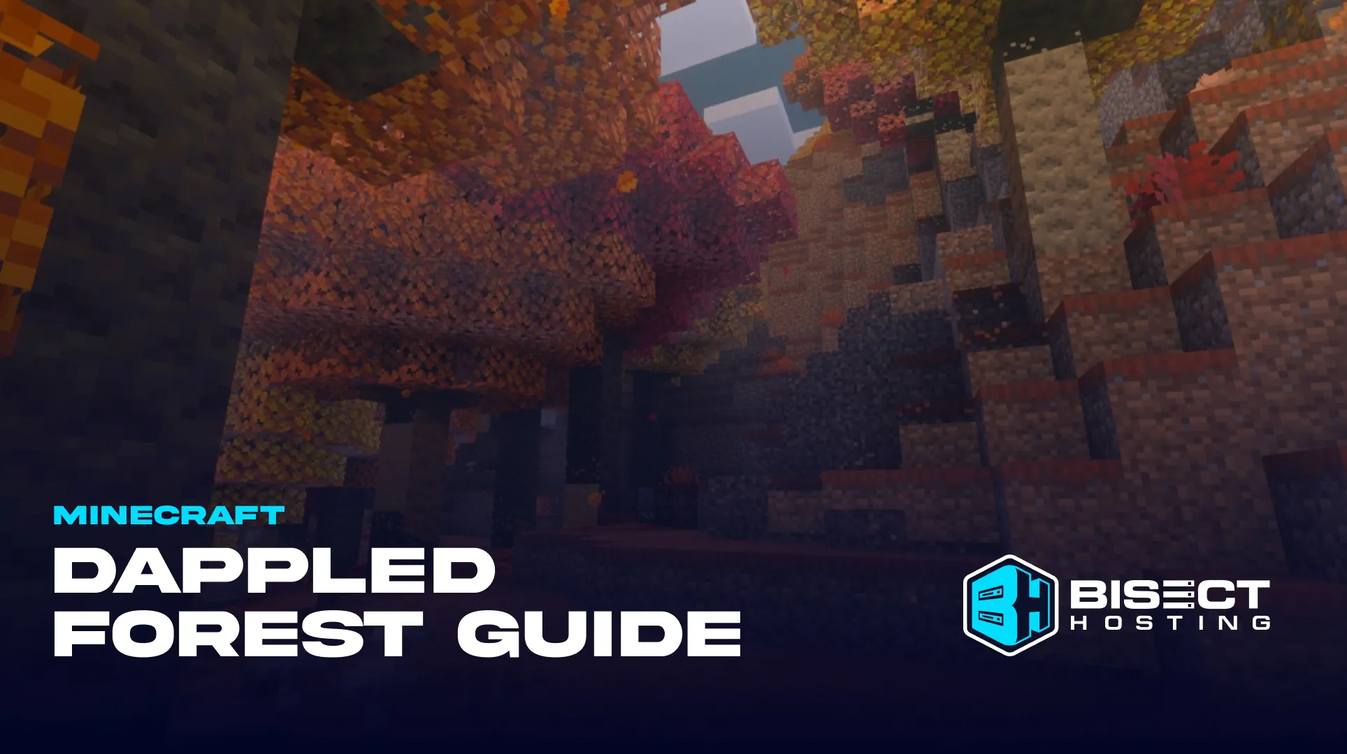 Minecraft Dappled Forest Guide: Poplar Trees, Blocks, & More