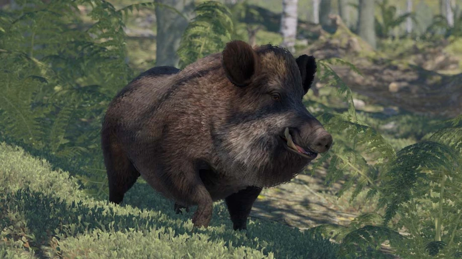Rust Boar screenshot