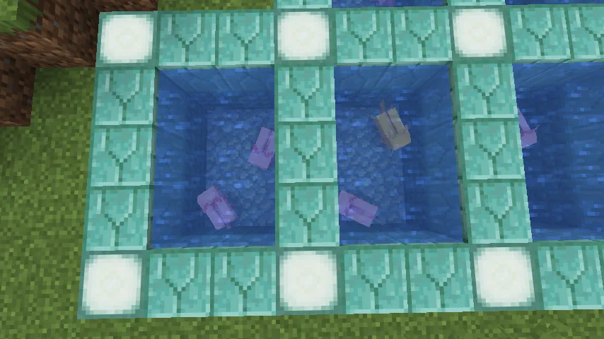 Minecraft Axolotl Breeding Pools Screenshot