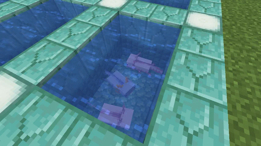 Minecraft Blue Axolotl Screenshot