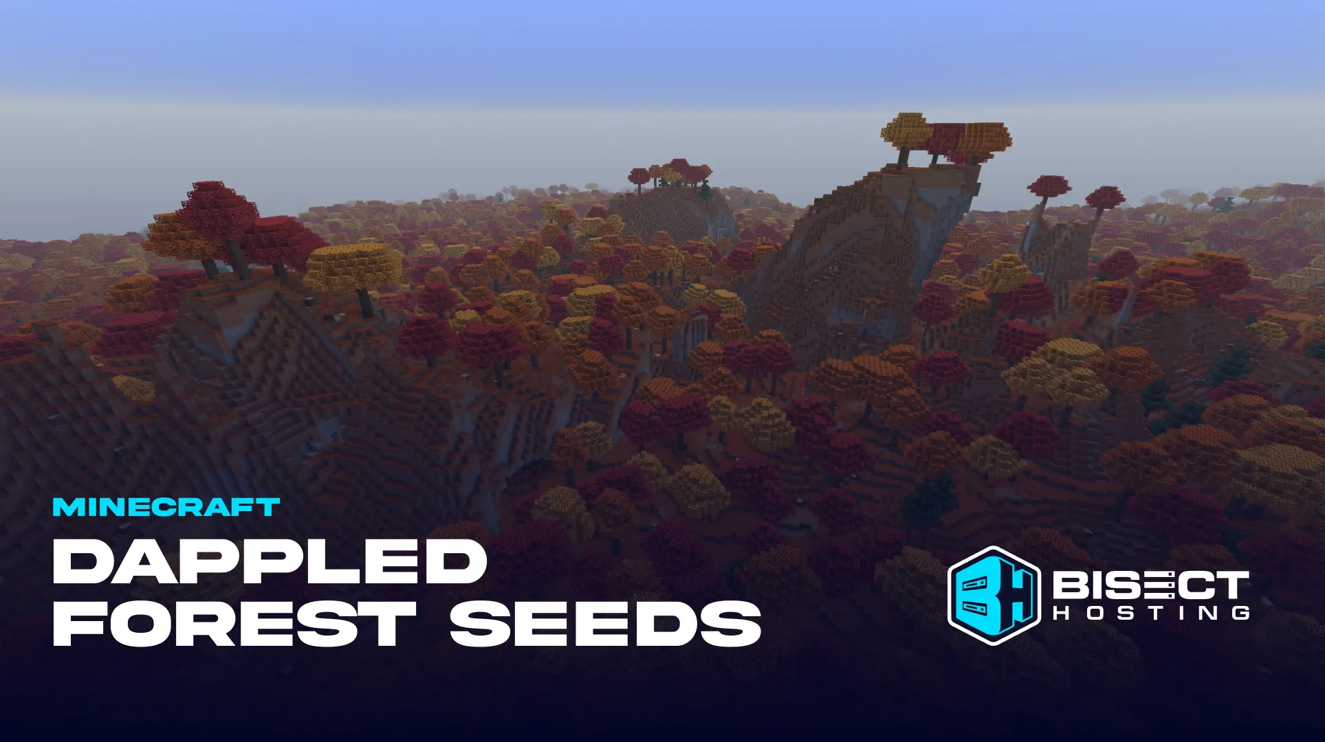 5 Minecraft Dappled Forest Seeds