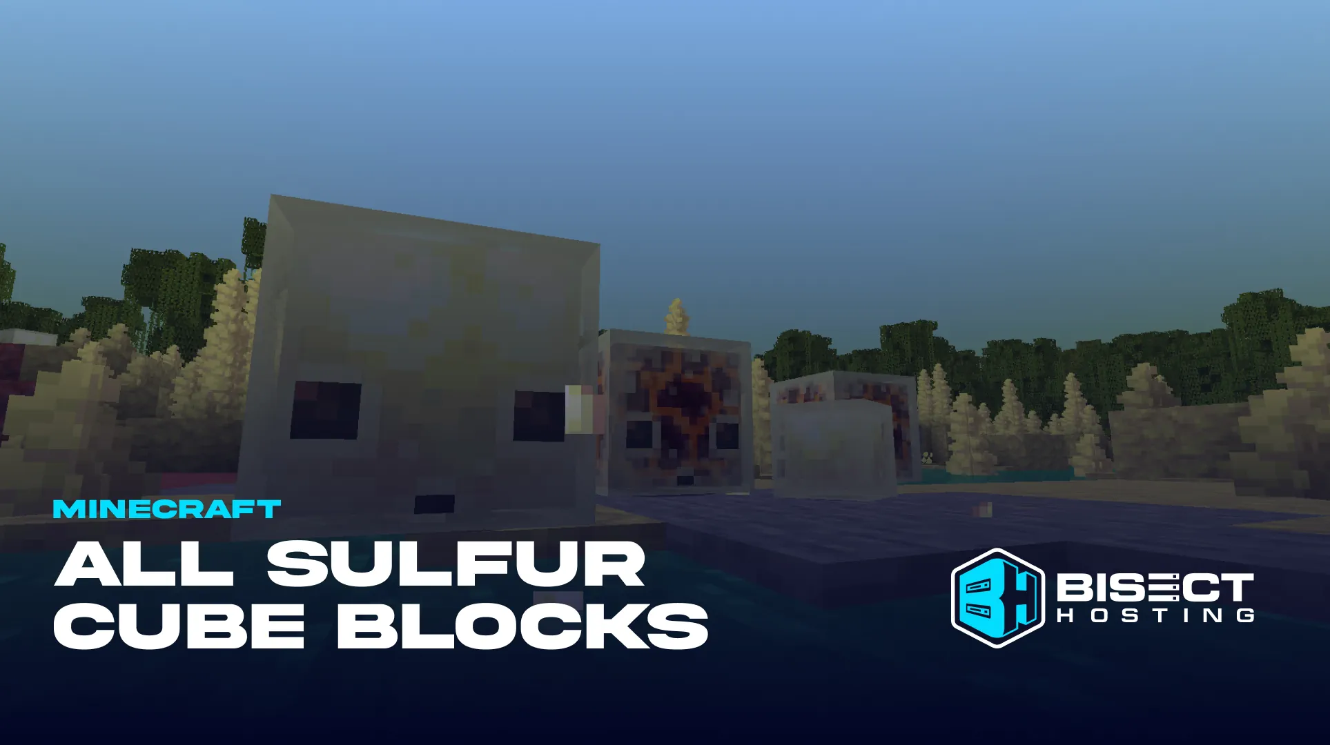 All Sulfur Cube Blocks: Properties, Interactions, & More