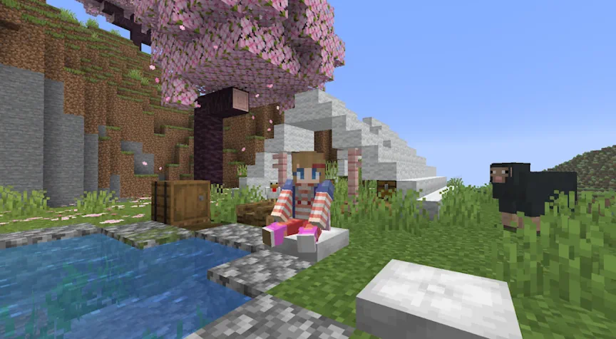 Minecraft Cushion and Abandoned Camp Screenshot