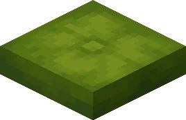 Green Cushion