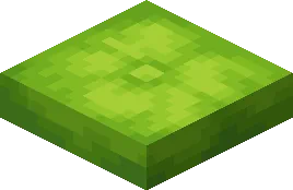 Lime Green Cushion