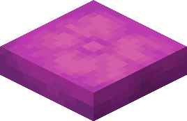 Magenta Cushion