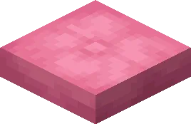 Pink Cushion