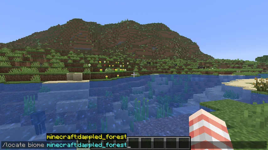 Dappled Forest Locate Biome Command Screenshot