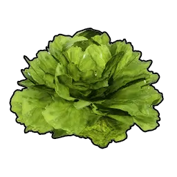 Palworld Lettuce
