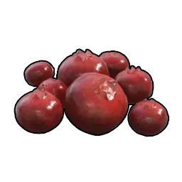 Palworld Red Berries