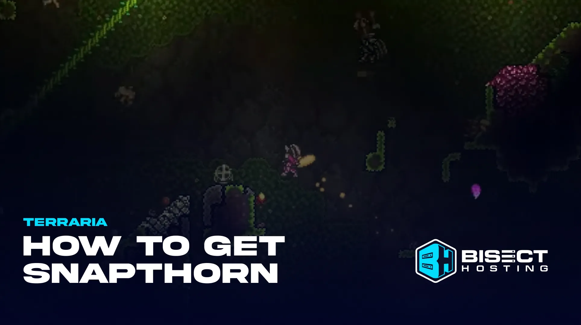 Terraria Snapthorn Guide: How to Get, Stats, & More