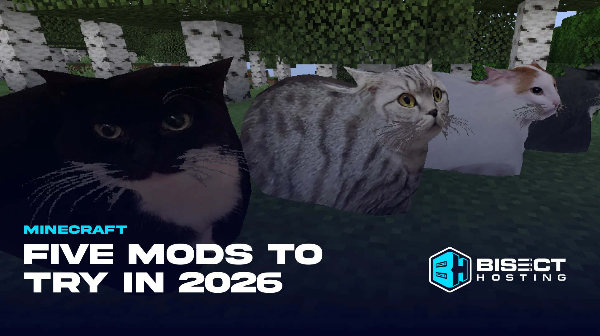 Five Minecraft Mods to Try in 2026