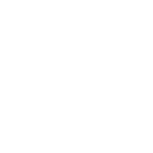 Palworld Brothers of the Eternal Pyre Logo