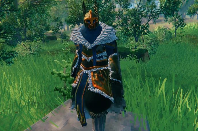 Valheim Armor of the Protector