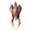 Valheim Seeker Soldier Trophy