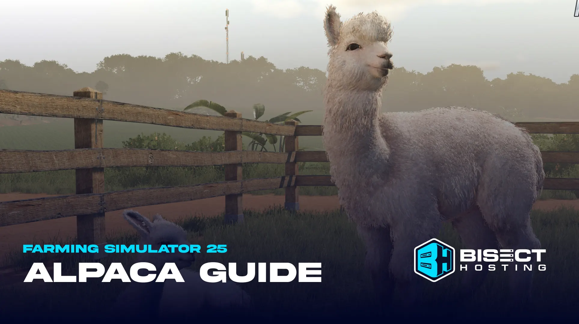 Farming Simulator 25 Alpaca Guide: How to Feed, Shear, Buy, Sell, Happiness, & More