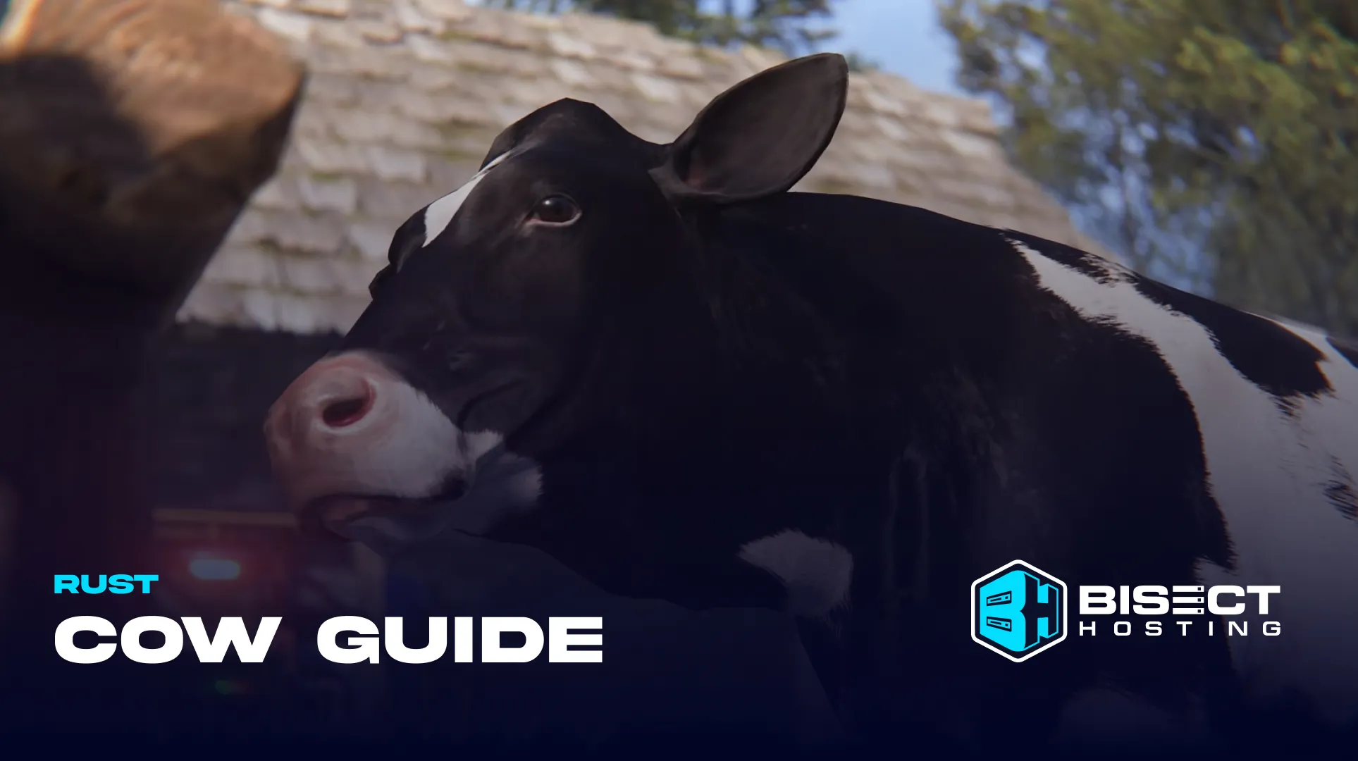 Rust Cow Guide: How to Get, Feed, Breeding Traits, Genes, How to Sell, Price & More
