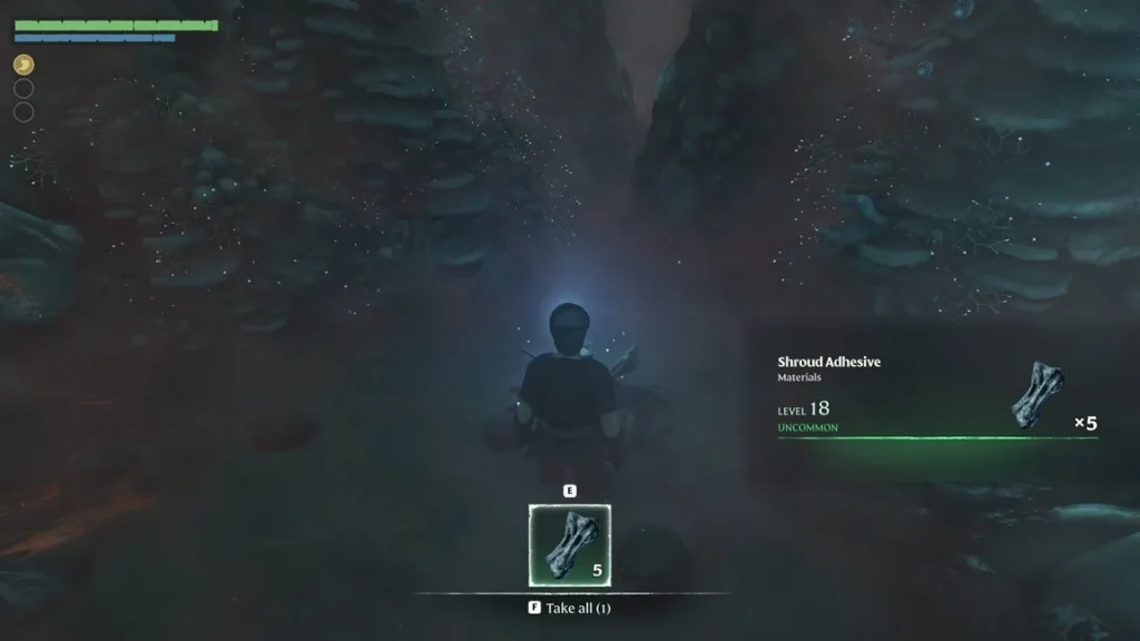 Enshrouded Shroud Adhesive