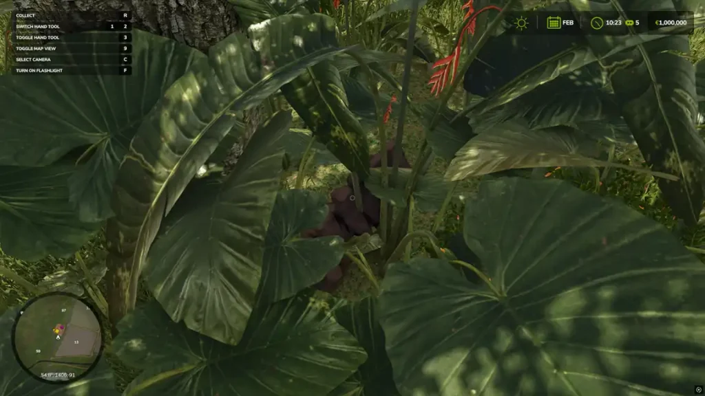 Farming Simulator 25 Catuaí Collectible 19