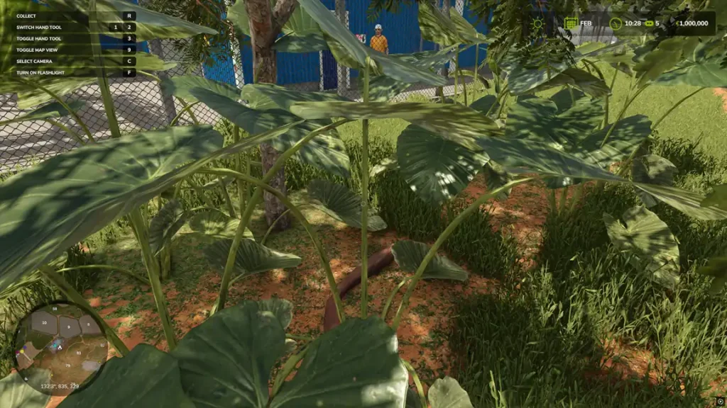 Farming Simulator 25 Catuaí Collectible 20