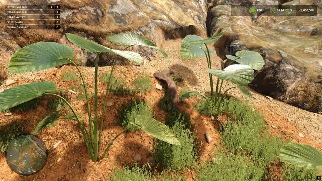Farming Simulator 25 Catuaí Collectible 9