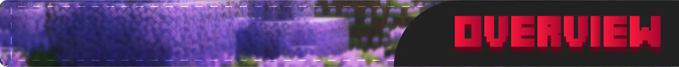 Overview