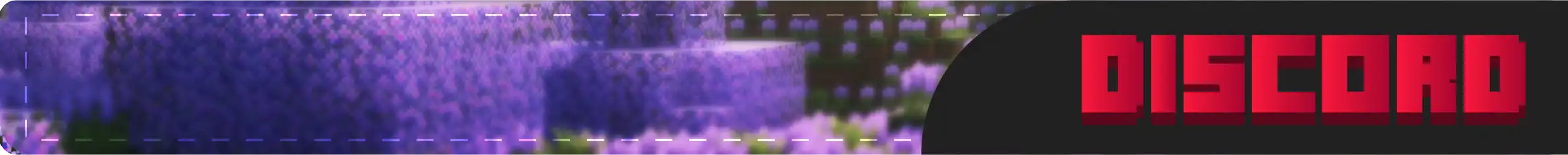 Discord Banner