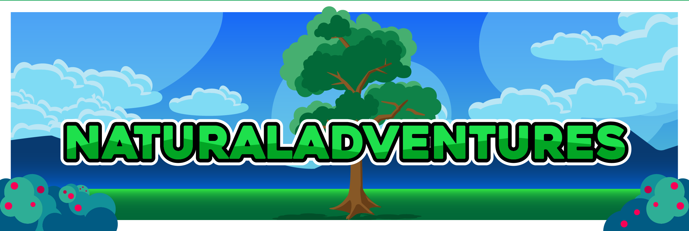 bh_header.png