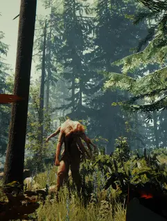 The Forest Server Hosting 24 7 Support Bisecthosting