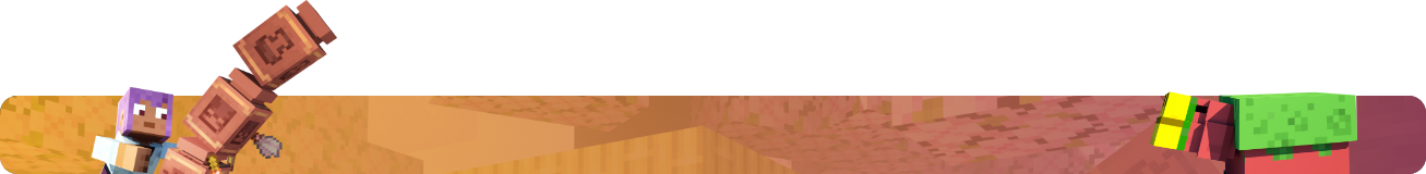 Promotional Banner
